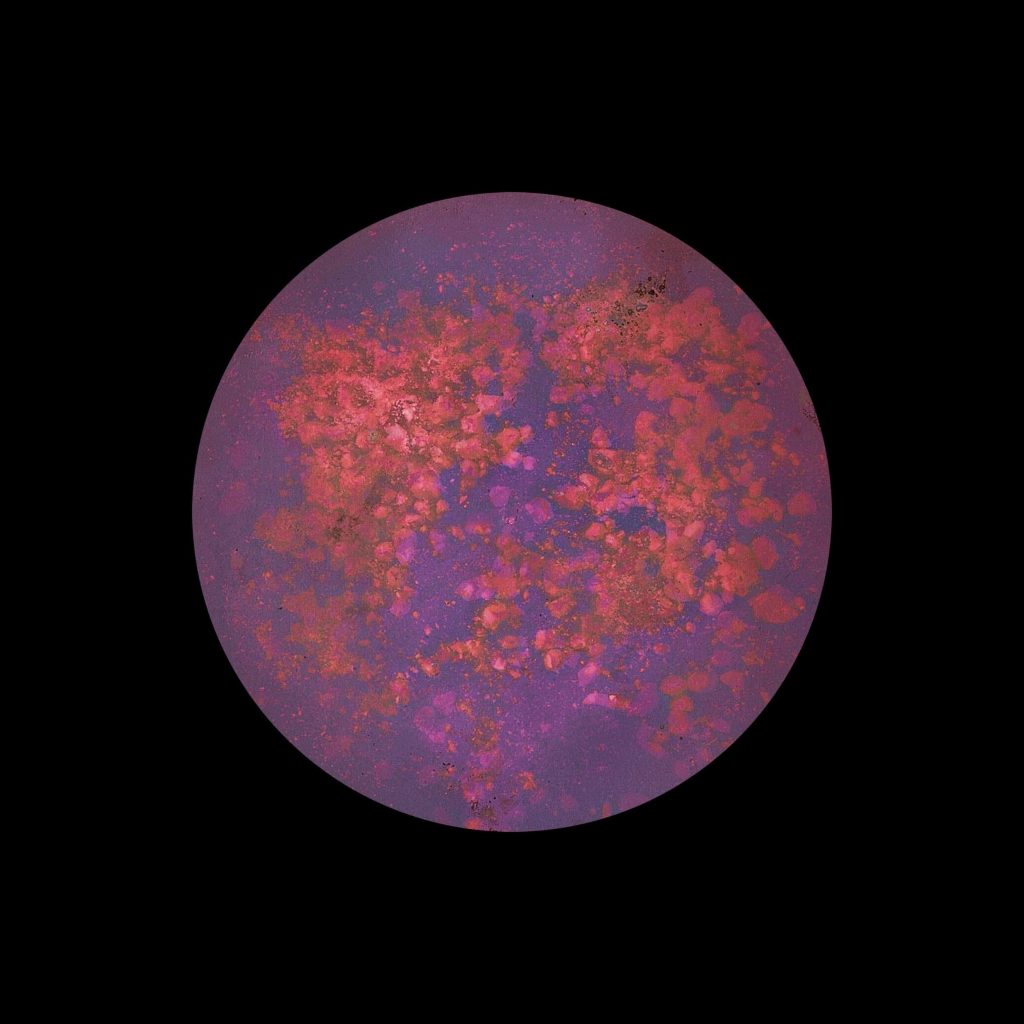 Image of circular metal with microorganisms growing over it on a black background