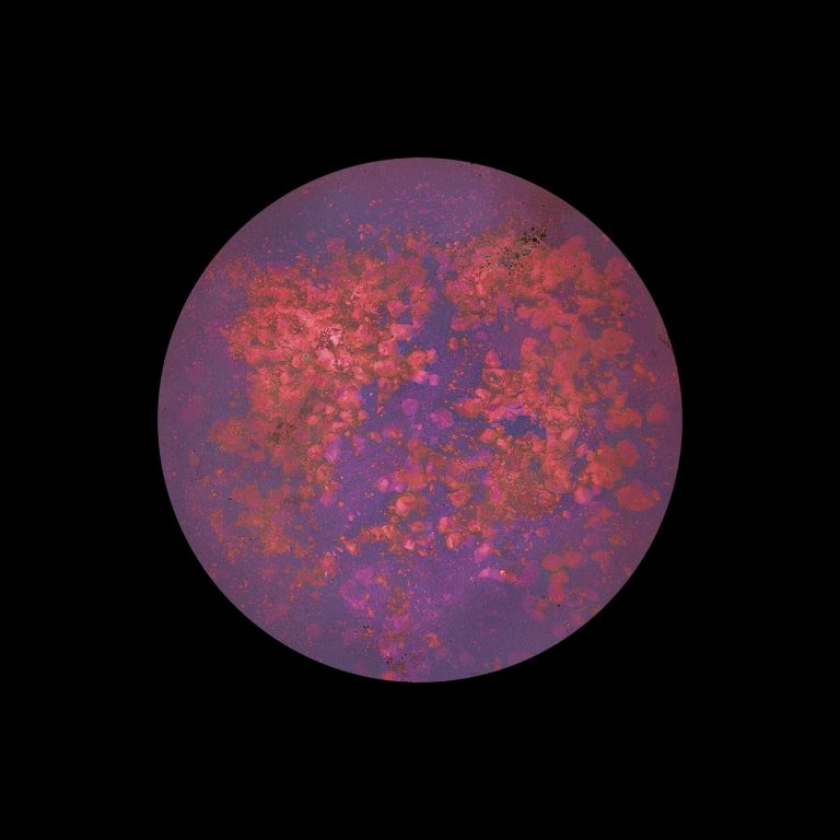 Image of circular metal with microorganisms growing over it on a black background