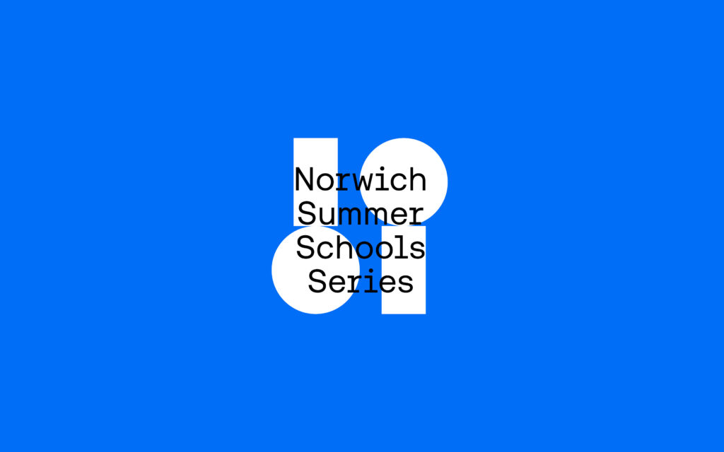 Blue background with bold, white vertical and horizontal geometric shapes forming a cross-like design. The words "Norwich Summer Schools Series" are arranged in three lines in black text, overlaying the shapes.