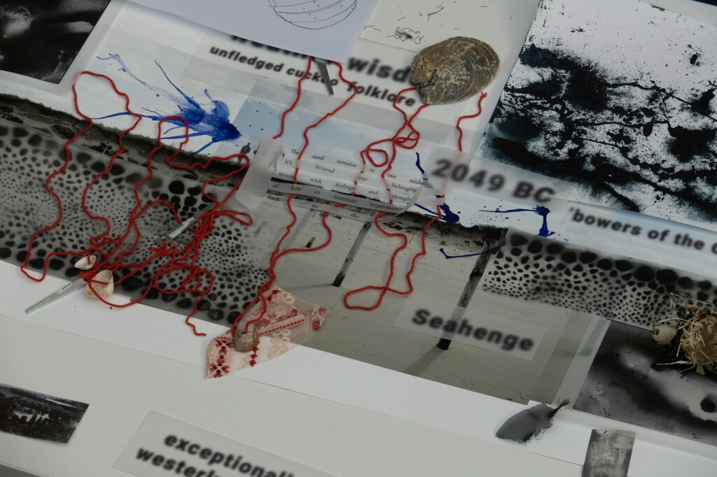 A collage featuring red string, black-and-white abstract patterns, a shell, printed text fragments, a syringe, blue ink splatters, and natural debris arranged on a white surface.