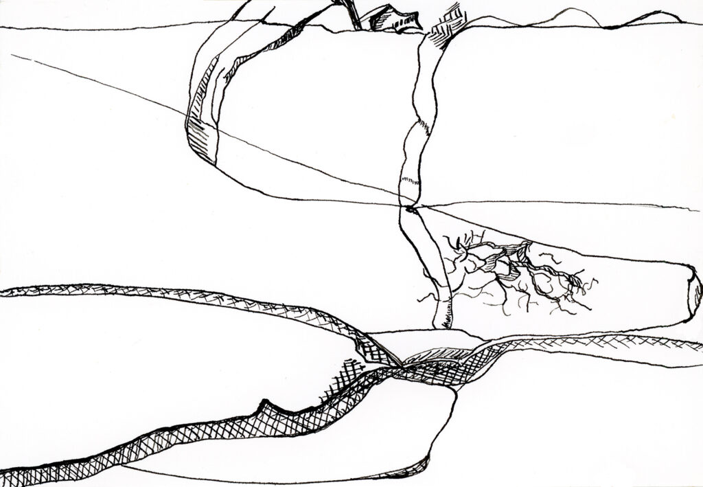 Black ink drawing of an abstract landscape with curving lines, shaded areas, and a central split revealing root-like shapes. Sparse details suggest hills and valleys in a minimalist, organic style. No visible people or animals.