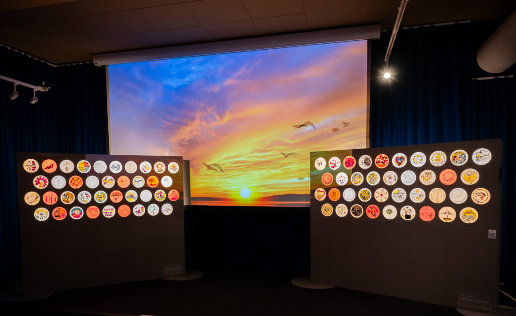 Two display panels with colorful, circular designs are shown in a dark room, positioned in front of a large screen displaying a sunset with birds flying across an orange and purple sky.